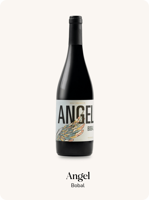 angel-bobal