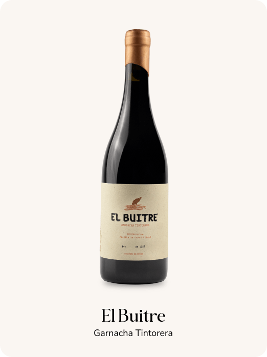 el-buitre-slide