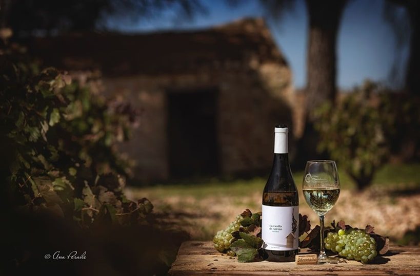 Bodegas Moratalla Bodegas Moratalla